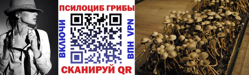 Купить закладки  Златоуст  Псилоцибиновые грибы ЛСД 